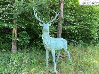 Lot 3 Casey's Gap Rd, Banner Elk, NC 28604 - photo 6