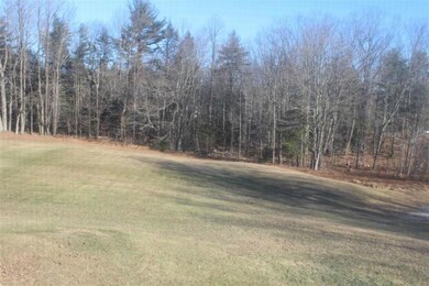 View from window overlooking yard.