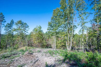 3875 Hwy 140 NE, Rydal, GA 30171 - photo 4