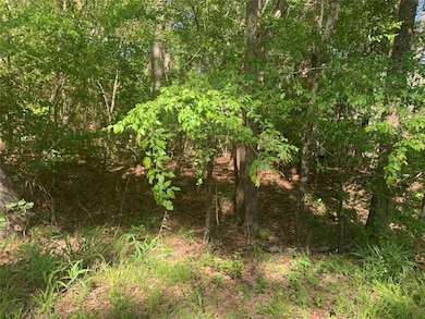 TBD N Lakewood Dr, Splendora, TX 77372 - photo 2