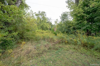 6913 Benson St, Detroit, MI 48207 - photo 5