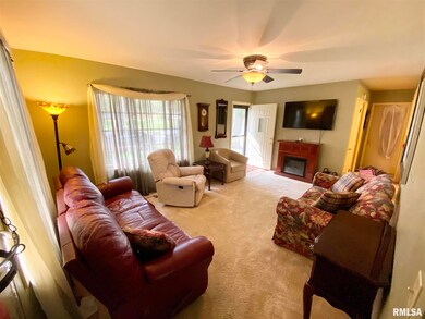 501 E Grant St, Virginia, IL 62691 - photo 5