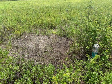 Exact location of tank and drain field to be verif