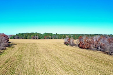 NA Flamingo St NW, Bradford Township, MN 55040 - photo 5