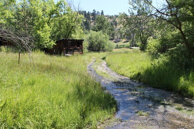 31275 Dixie Creek Rd, Prairie City, OR 97869 - photo 5