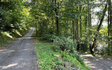 LOT 30 High Meadows, Hayesville, NC 28904 - photo 4