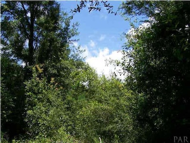 Formerly cleared for a homesite