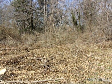 120 Raleigh Ave unit 2, Asheville, NC 28803 - photo 3