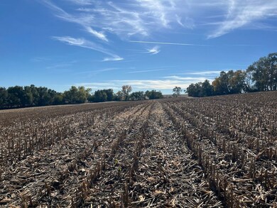 650 County Road R, Yutan, NE 68073 - photo 4