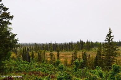 DSC_0006