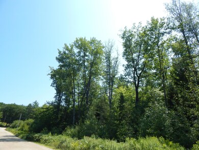 - Cramm Rd, Parsonsfield, ME 04047 - photo 2