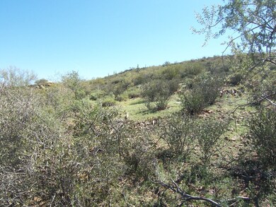 gentle hill site view for higher views