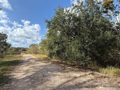 0 County Road 426 unit 91392966, Brazoria, TX 77422 - photo 2