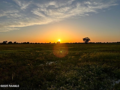 Photo Jun 05 2025, 3 13 41 PM