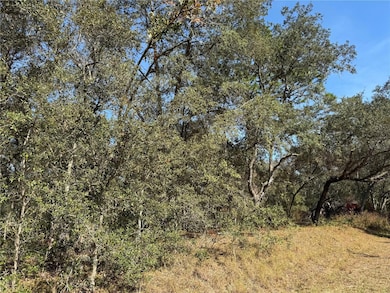 0 SE 115 Place Rd unit MFRG5104731, Ocklawaha, FL 32179 - photo 6