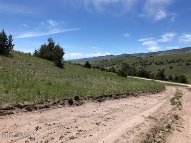 Existing driveway on the property off of Crystal M
