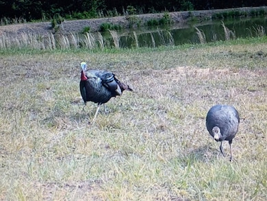 9 Coon Hollow Rd, Blue Creek, OH 45616 - photo 7