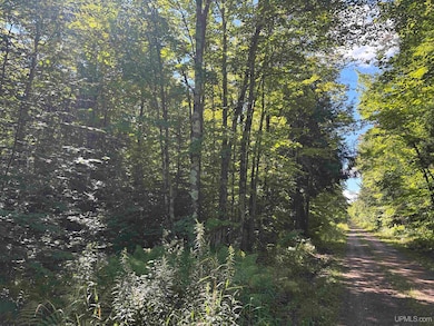 TBD Norlund Rd, Ironwood, MI 49938 - photo 6