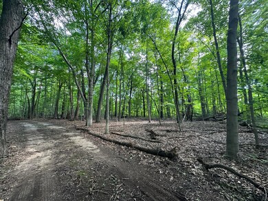 Beautiful Wooded Lot