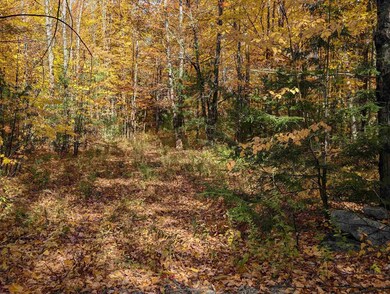 Lot 7-13 Mountain Rd, Francestown, NH 03043 - photo 7