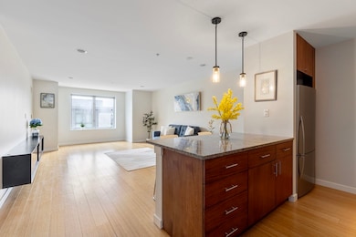 Audubon Park unit 506, Boston, MA 02215 - photo 5