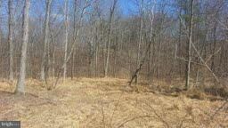 0 Blue Brook Rd unit 1002888482, Berkeley Springs, WV 25411 - photo 6