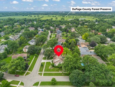 2002 Middleton Dr, Wheaton, IL 60189 - photo 4