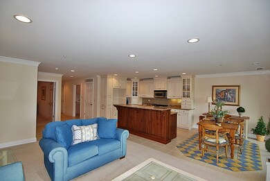 132 N Water St unit 102, Batavia, IL 60510 - photo 4