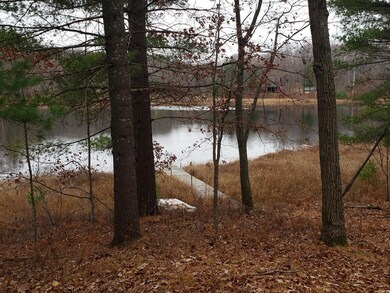 W14664 Hungry Lake Rd, Chetek, WI 54728 - photo 6