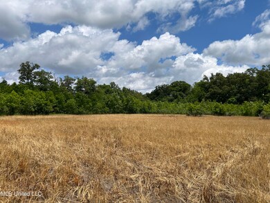 0 Brahan Rd, Sledge, MS 38670 - photo 5