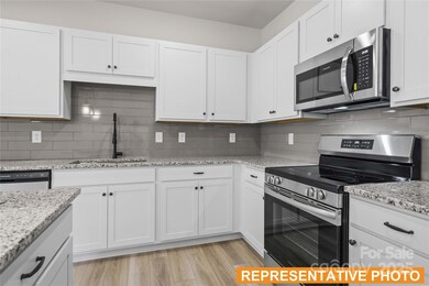 6013 Jasmine Branch Rd, Charlotte, NC 28216 - photo 5