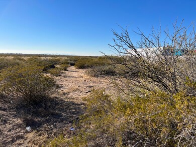 529 Ascencion St, El Paso, TX 79928 - photo 3