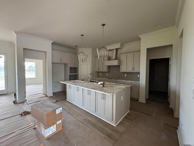 5151 Colmar Rd, Gonzales, LA 70737 - photo 3