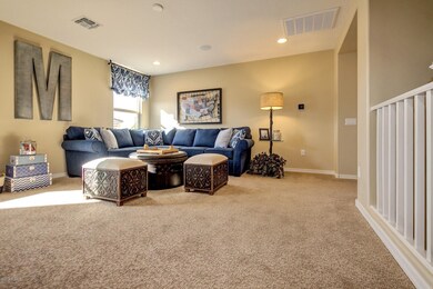 0018-Camino Acelga - 13852 (19)