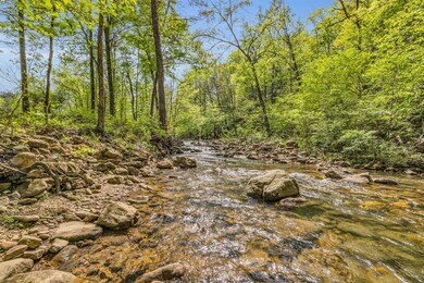 5-web-or-mls-820-fortunate-wy