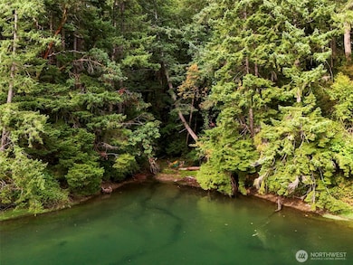 8305 Schirm Rd NW, Olympia, WA 98502 - photo 3