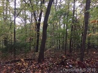 Picture taken from driveway easement.