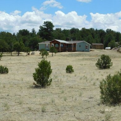 The Home