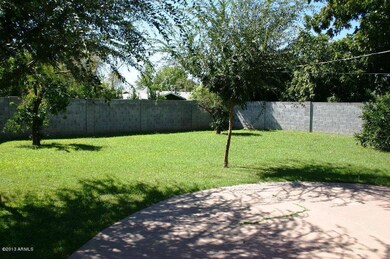grassy back yard