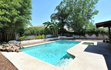 Water Fall into Pool