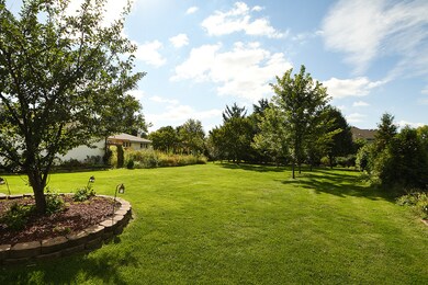 Beautiful fenced-in yard with fruit trees and grap
