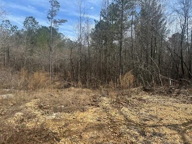 0 Fisher Ln, Shiloh, TN 38376 - photo 6