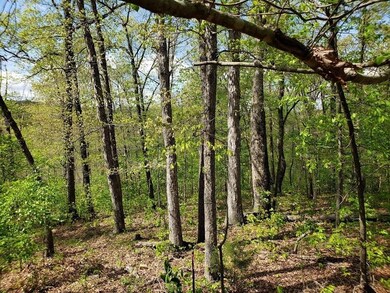 12 Otley Ln, Bella Vista, AR 72714 - photo 6