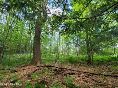 0 Mesacosa Rd, Corinth, NY 12822 - photo 3