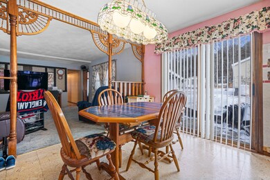 17 Roland Dr, Allenstown, NH 03275 - photo 6