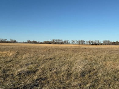 160.52± Acres Holt County, Stuart, NE 68780 - photo 6