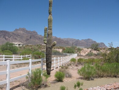 The majestic Superstitions out back!