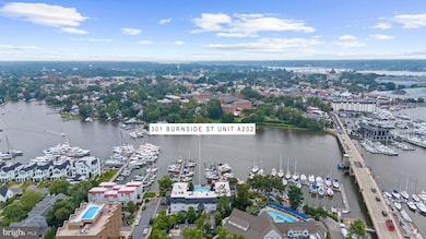 301 Burnside St unit A 202, Annapolis, MD 21403 - photo 3