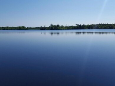 Lot 4 Hopkins Rd, Sand Lake Township, WI 54893 - photo 6