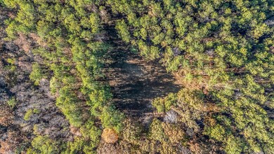 661 Cedar Tree Rd, Vernon, AL 35592 - photo 6